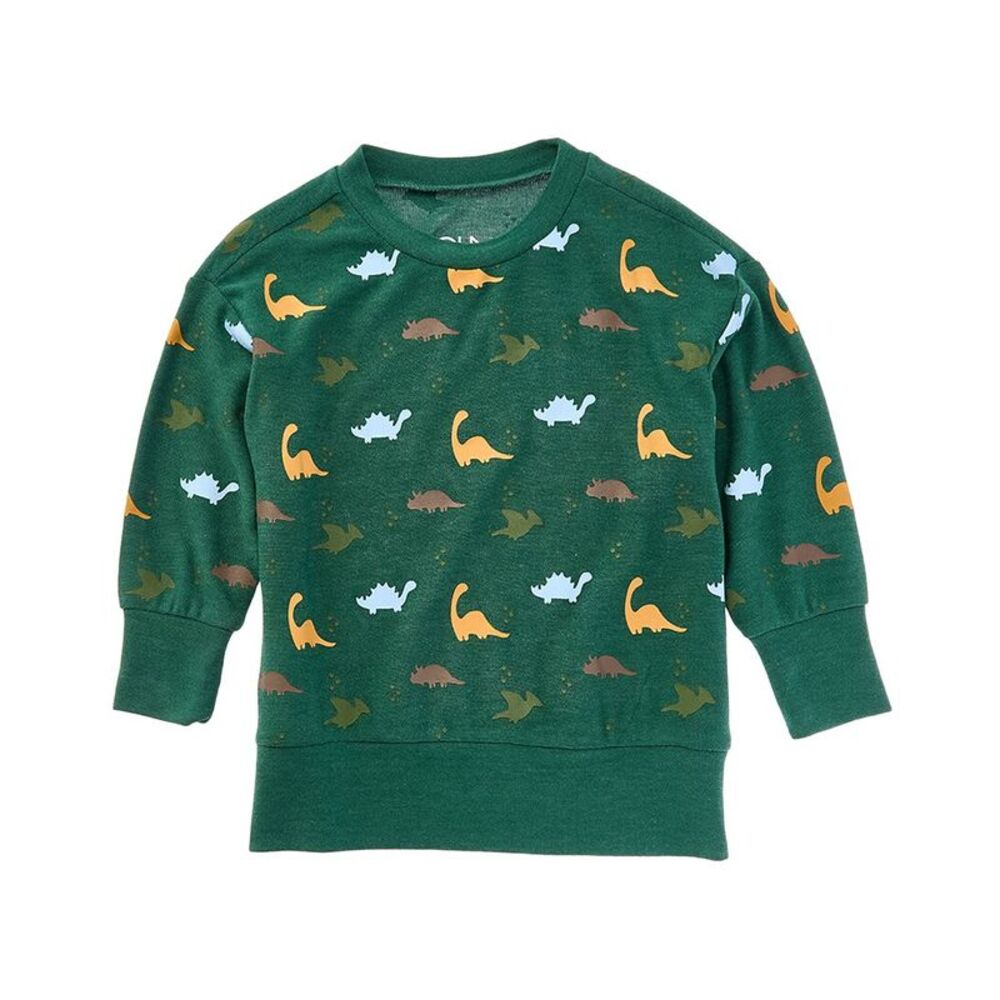 Chaser Boys Dino Party Pullover, Green